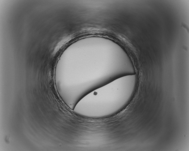 X0000101681261200807101136