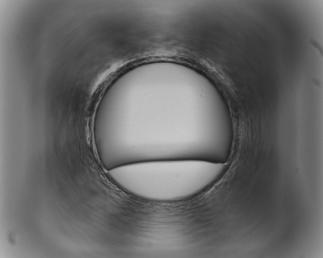 X0000101681262200807101136