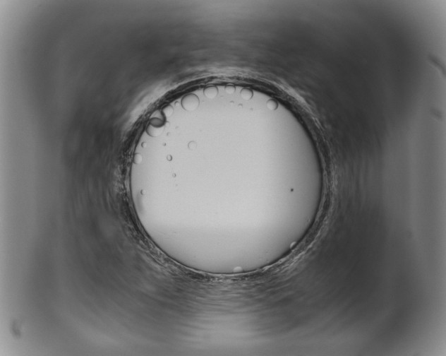 X0000101681263200807101136