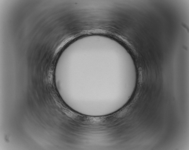 X0000101681266200807101136