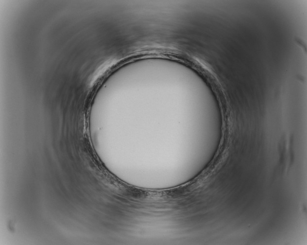 X0000101681267200807101136
