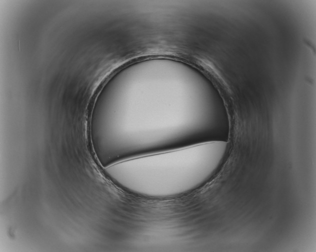 X0000101681268200807101136