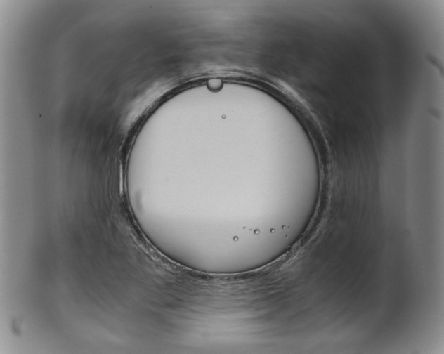 X0000101681269200807101136