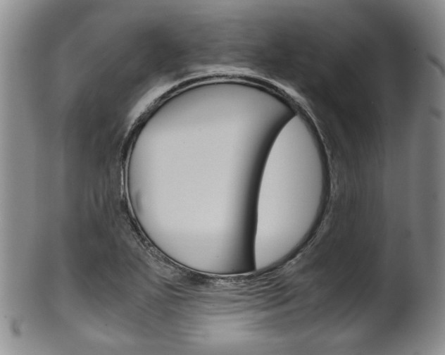 X0000101681271200807101136