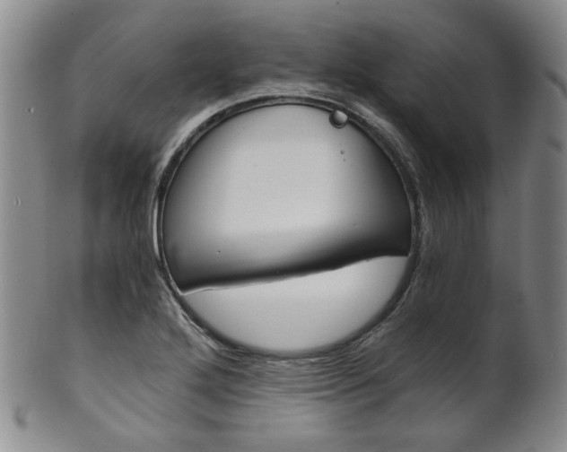 X0000101681272200807101136