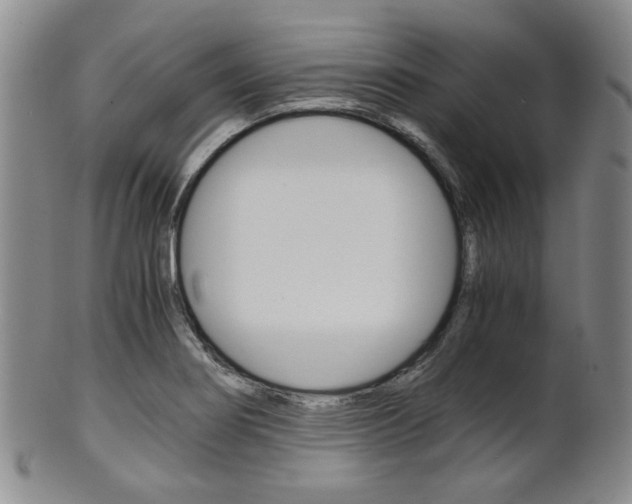 X0000101681274200807101136