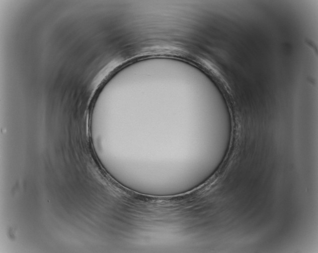 X0000101681275200807101136