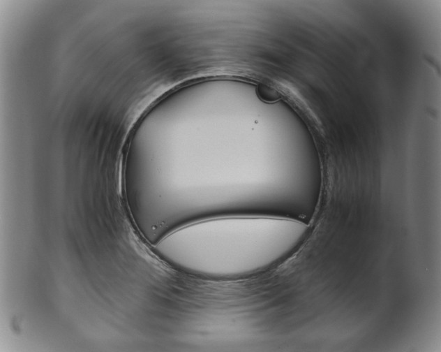 X0000101681276200807101135