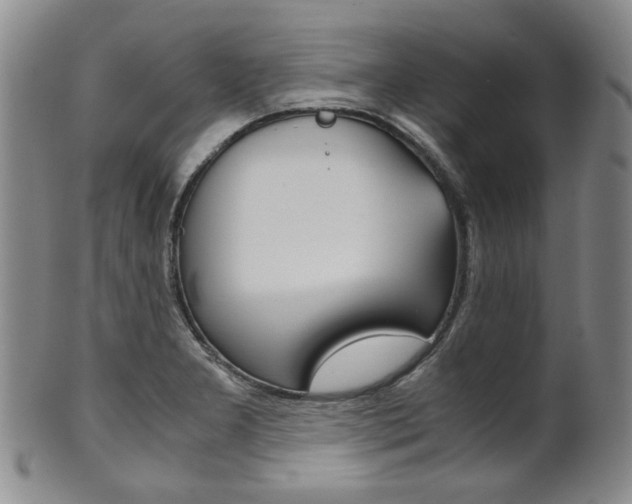 X0000101681277200807101135