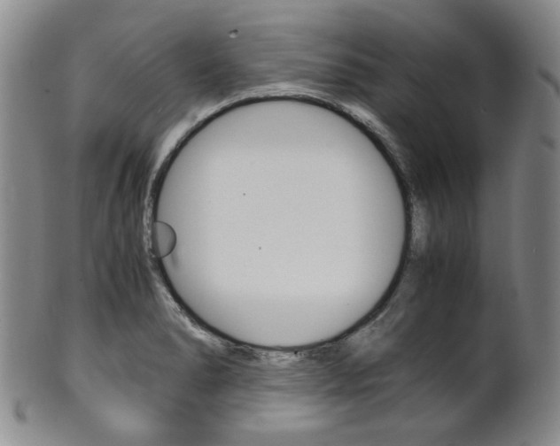 X0000101681278200807101135
