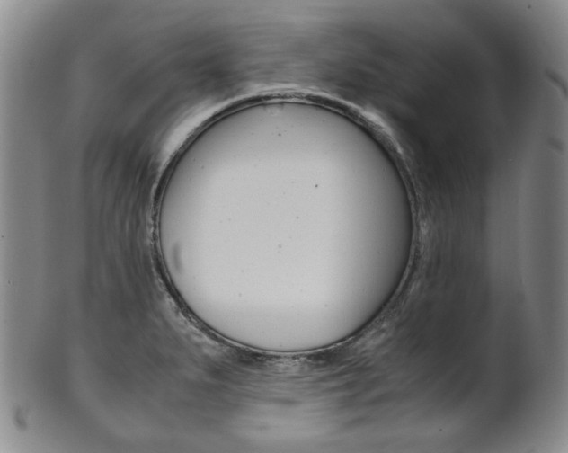 X0000101681279200807101135