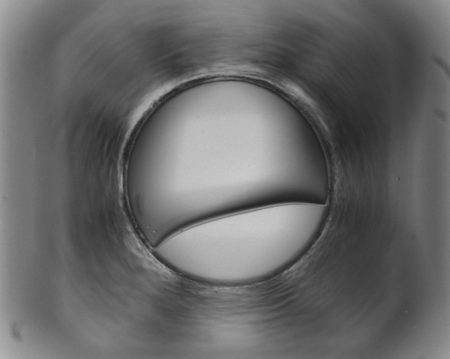 X0000101681280200807101135