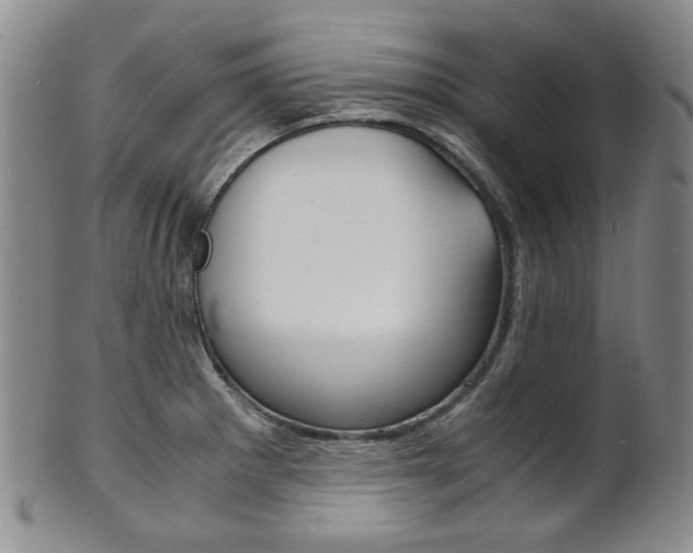 X0000101681281200807101135