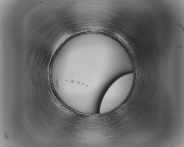 X0000101681283200807101135