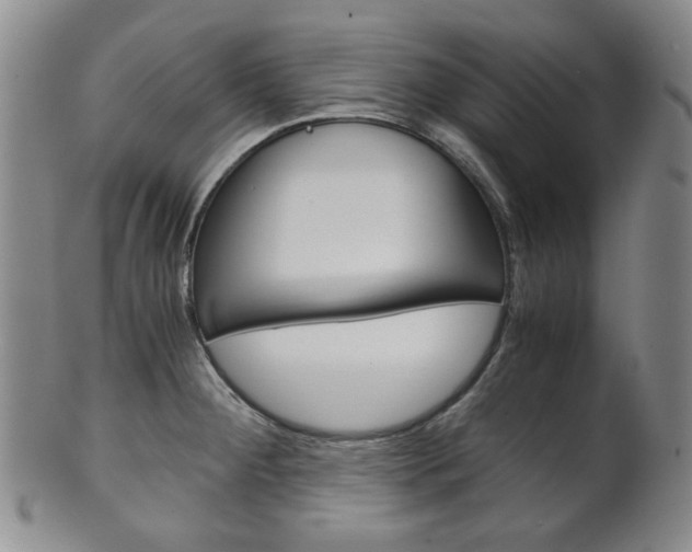 X0000101681284200807101135
