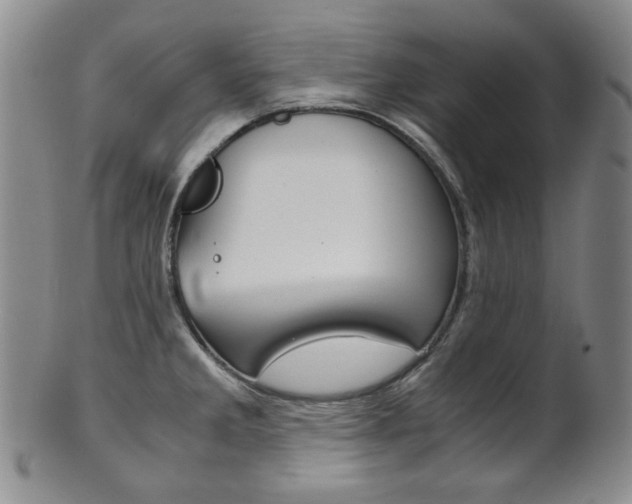 X0000101681285200807101135