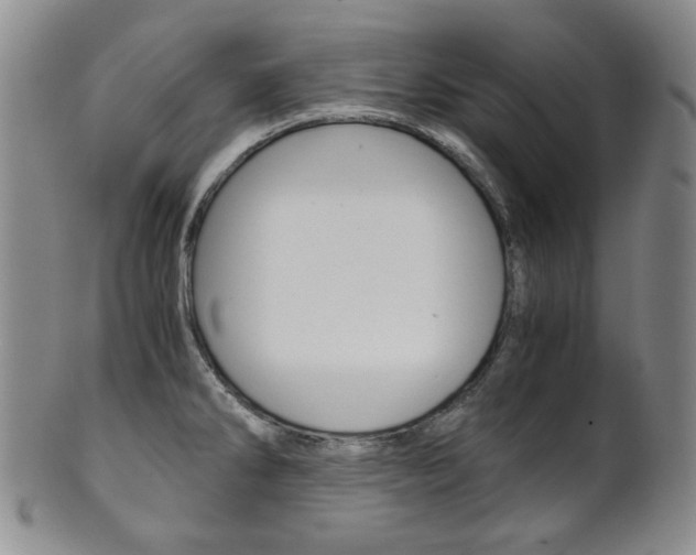 X0000101681286200807101135