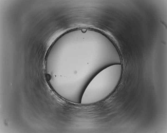 X0000101681287200807101135