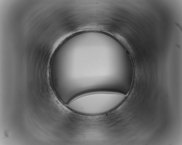 X0000101681288200807101135