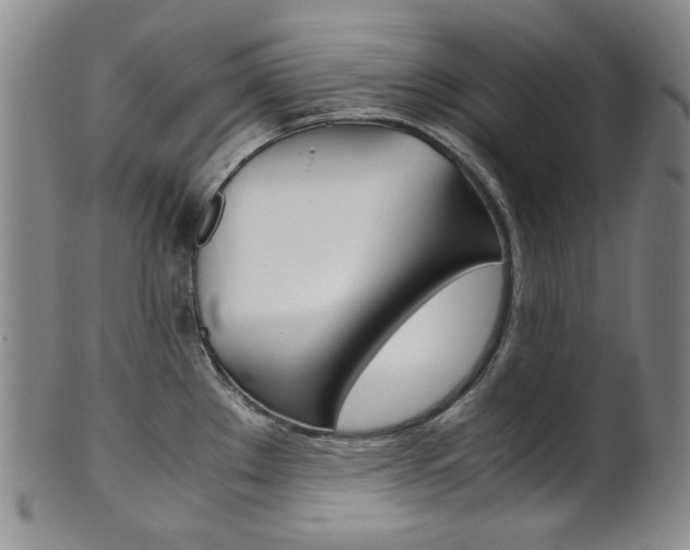 X0000101681289200807101135