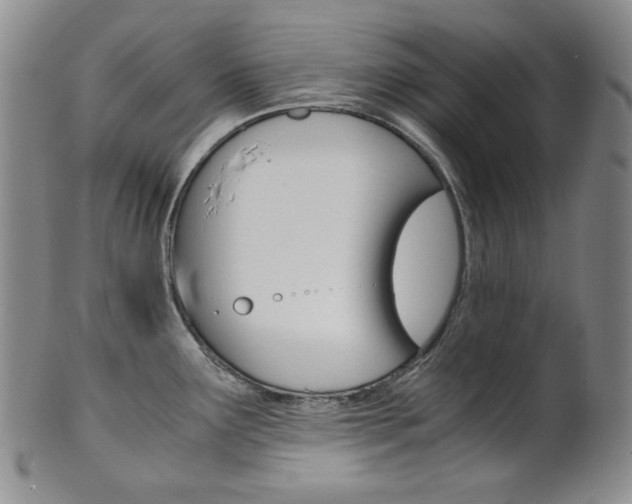 X0000101681291200807101135