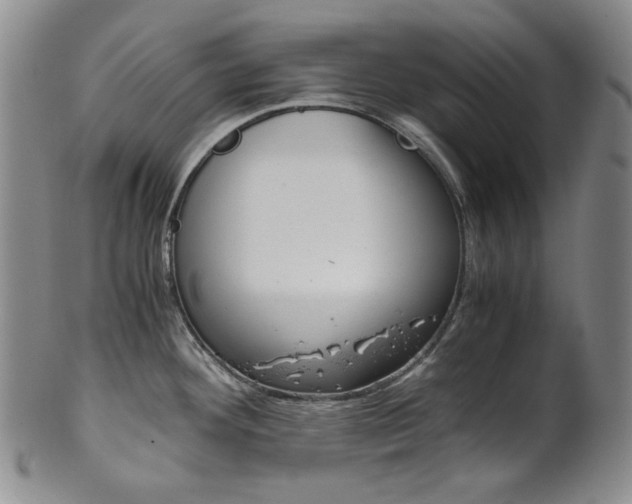 X0000101681292200807101135