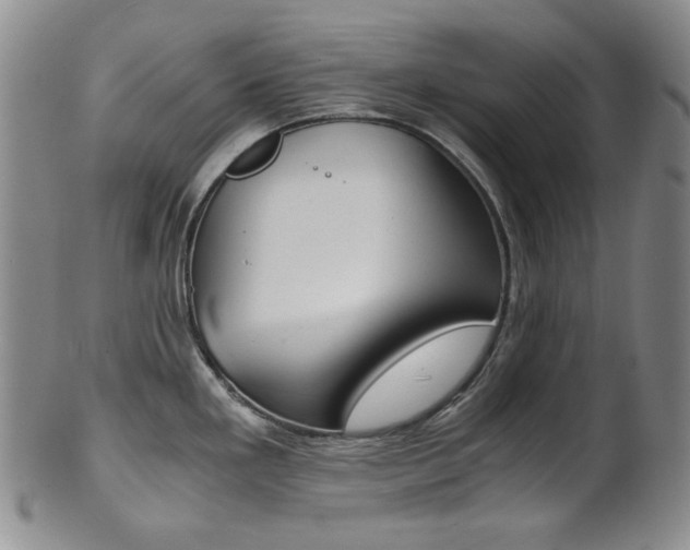 X0000101681293200807101135