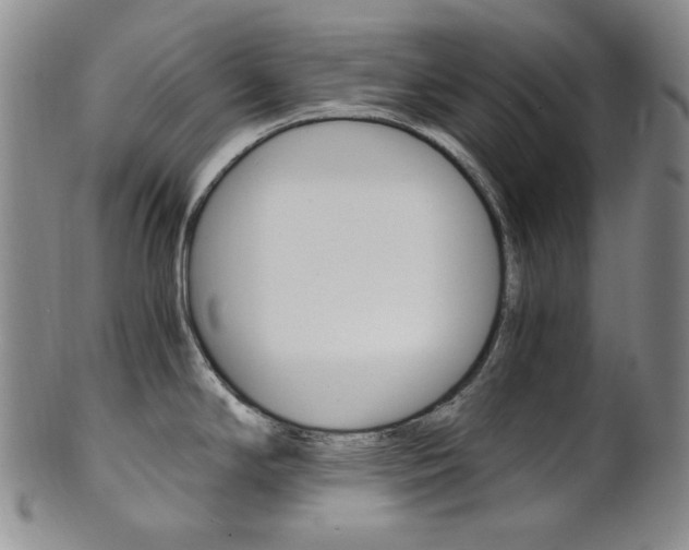 X0000101681294200807101135