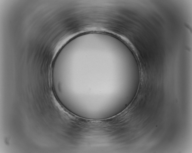 X0000101681295200807101135
