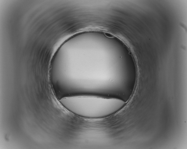 X0000101681296200807101135