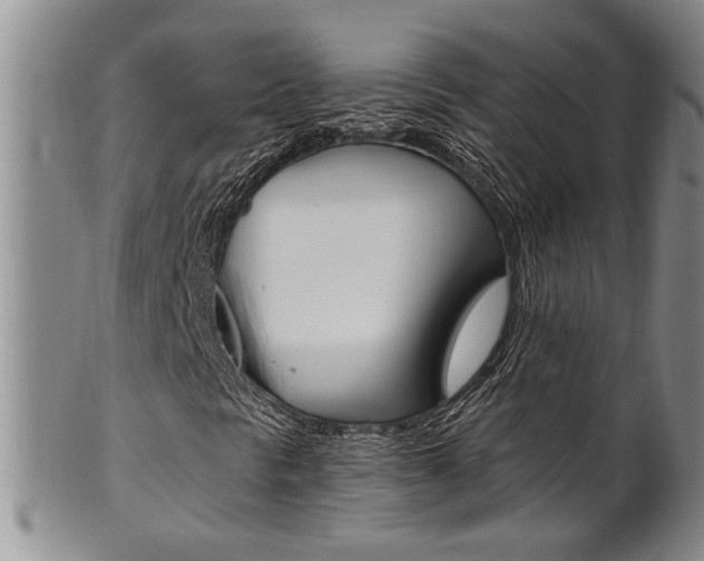 X0000101681297200807101134