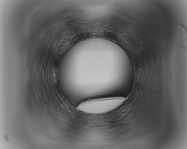 X0000101681298200807101134