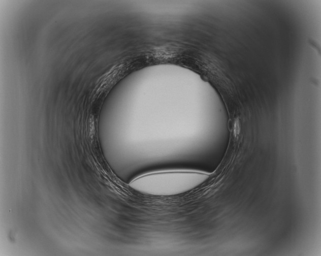 X0000101681299200807101134