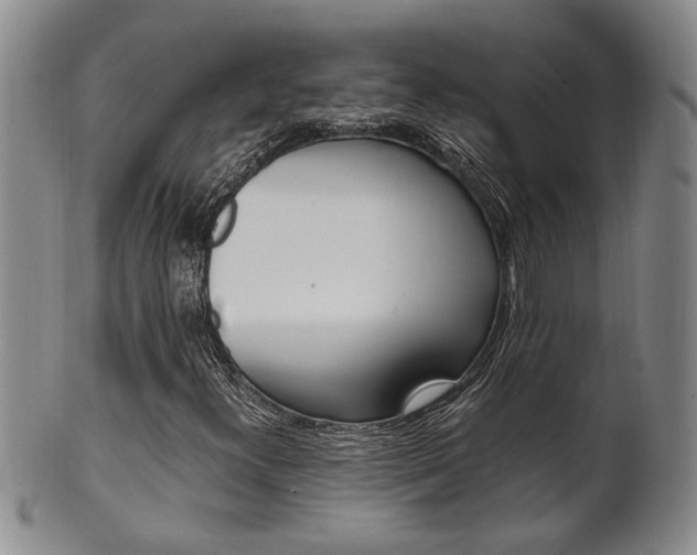 X0000101681300200807101134
