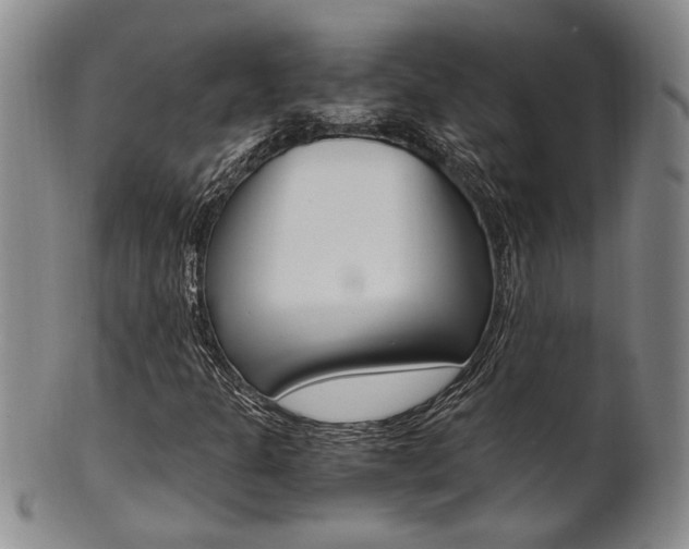 X0000101681301200807101134