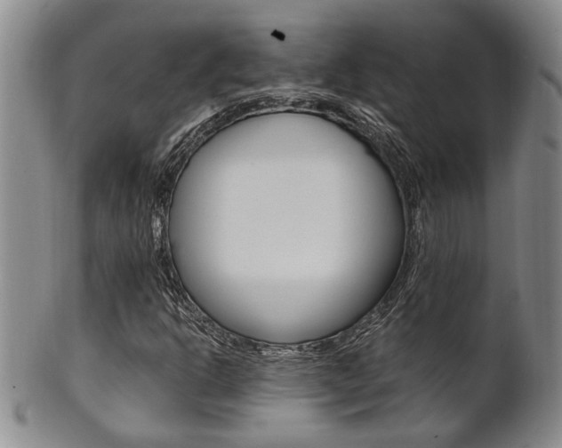 X0000101681302200807101134