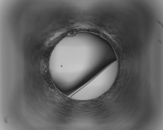 X0000101681303200807101134
