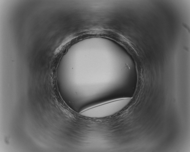 X0000101681304200807101134
