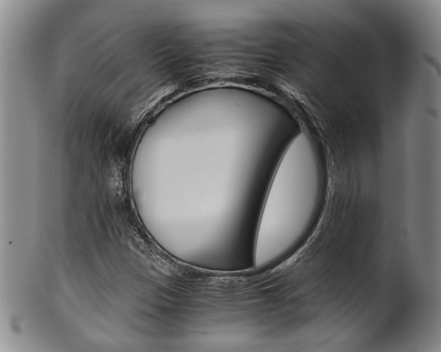 X0000101681305200807101134