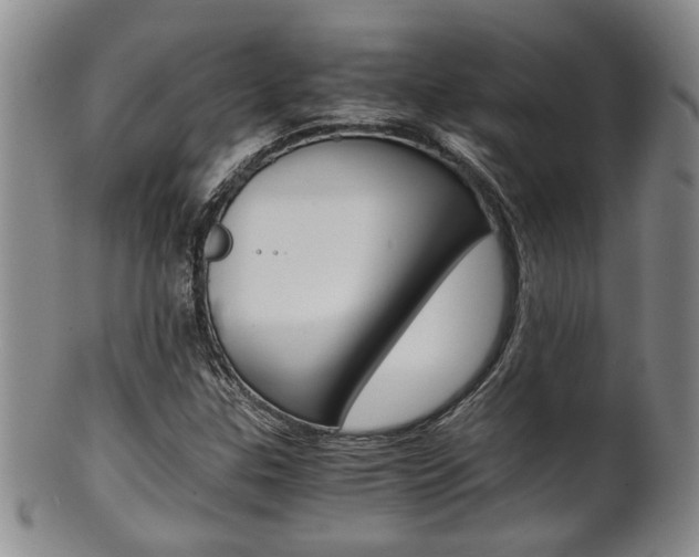 X0000101681307200807101134