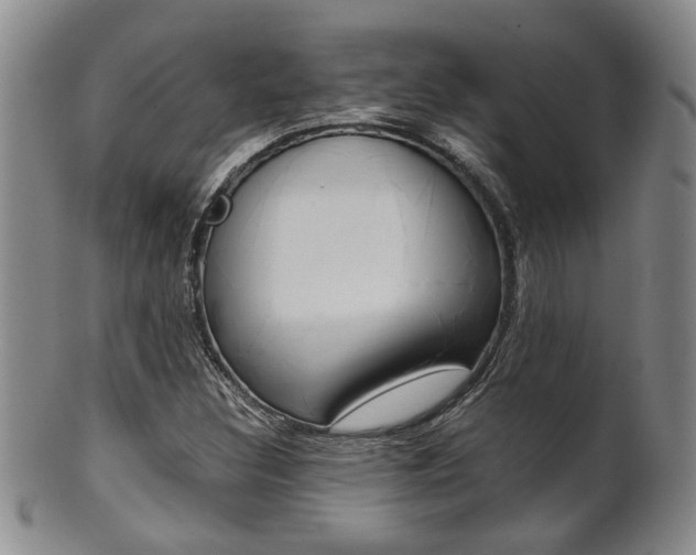 X0000101681308200807101134