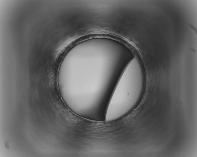 X0000101681311200807101134