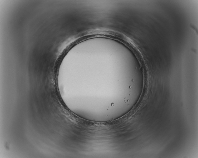 X0000101681312200807101134