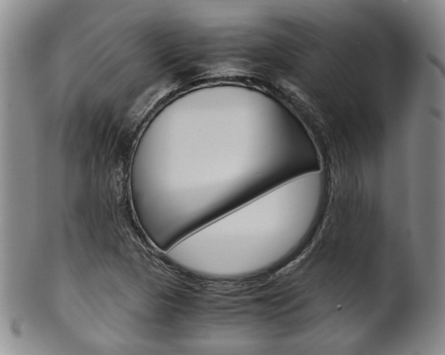 X0000101681313200807101134