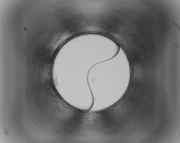 X0000101681314200807101134