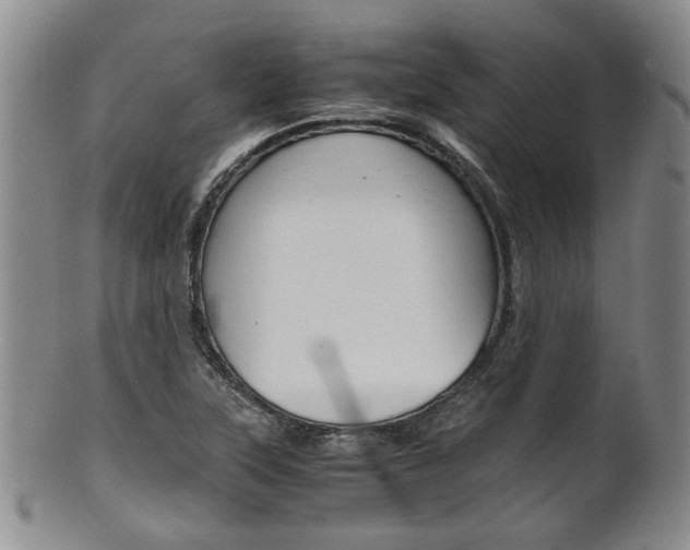X0000101681315200807101134