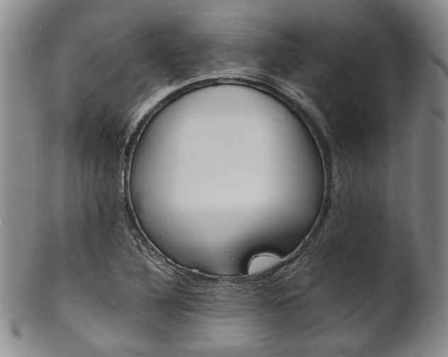 X0000101681316200807101134