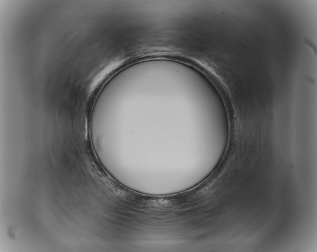 X0000101681317200807101134