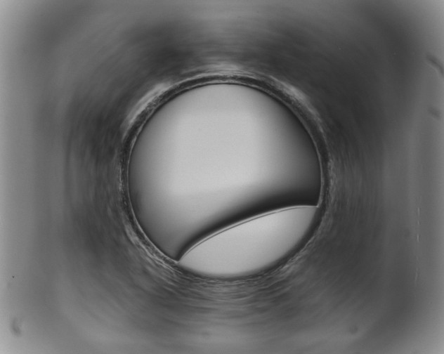 X0000101681318200807101134