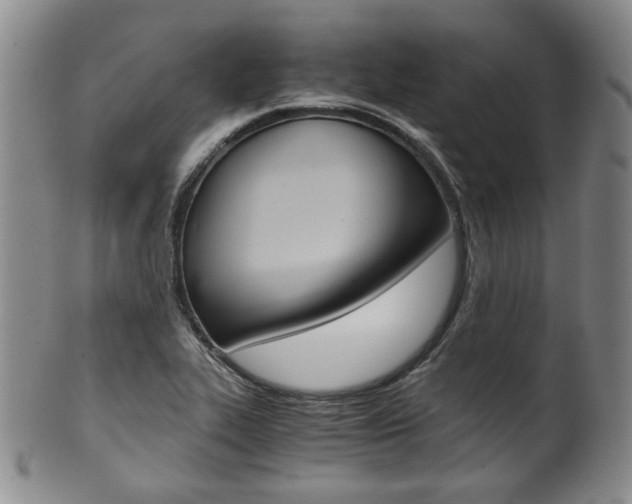 X0000101681319200807101134